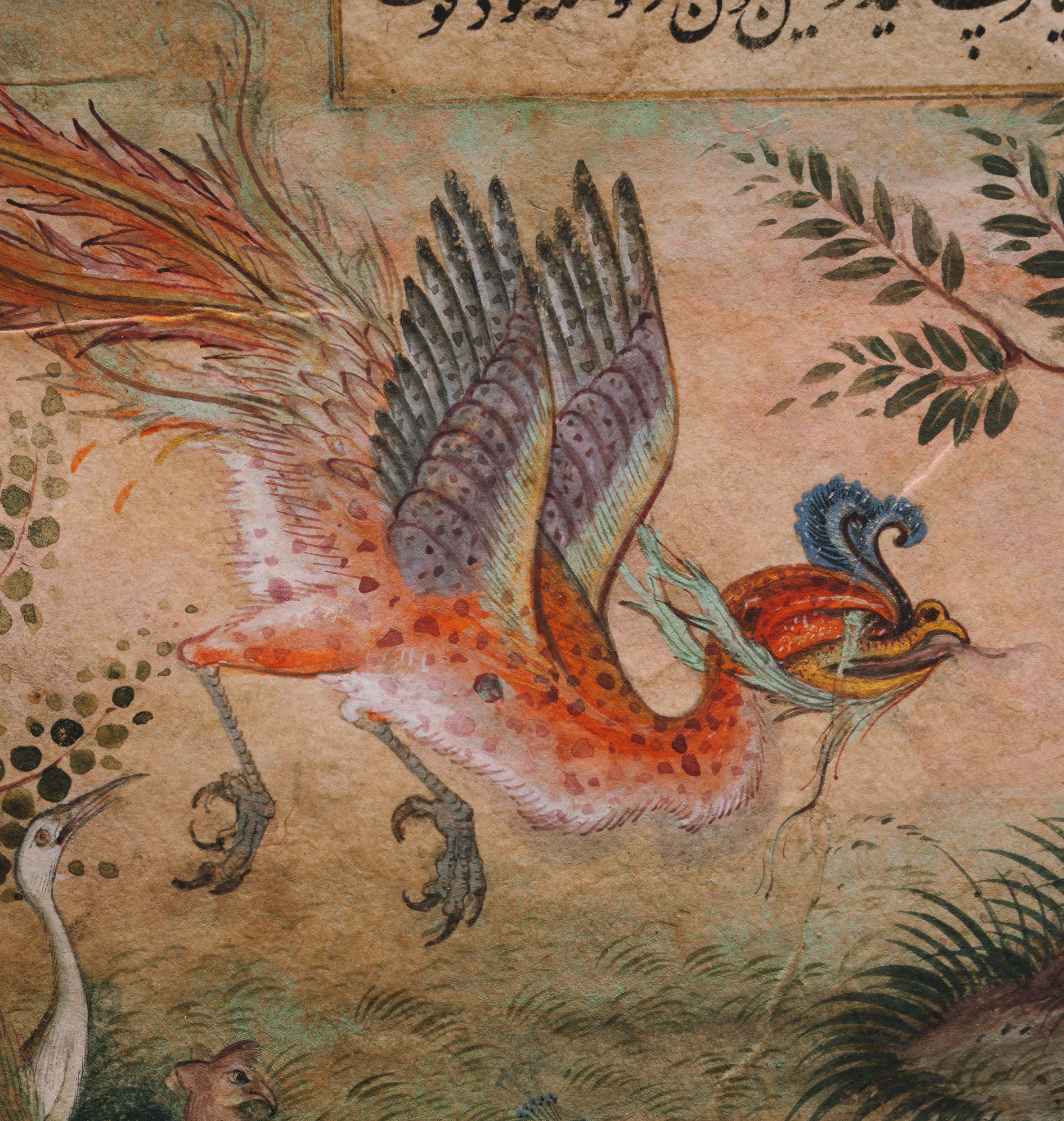 simurgh_main_sider_7